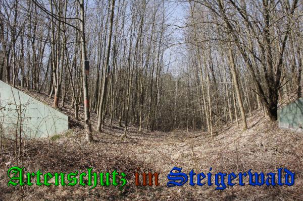 Bild zum Eintrag (35925-160)
