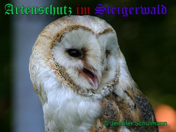 Copyright AiS - Jennifer Schürmann Bild zum Eintrag (35993-160)