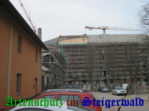 Bild zum Eintrag (36023-160)