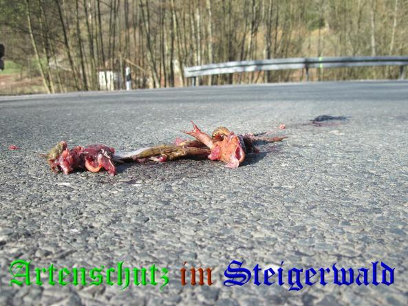 Bild zum Eintrag (36291-160)