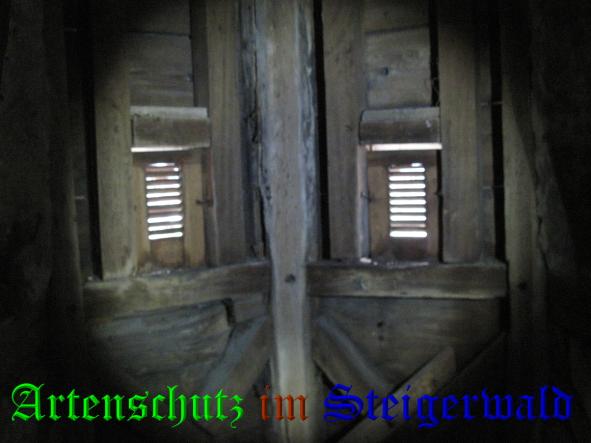 Bild zum Eintrag (36334-160)
