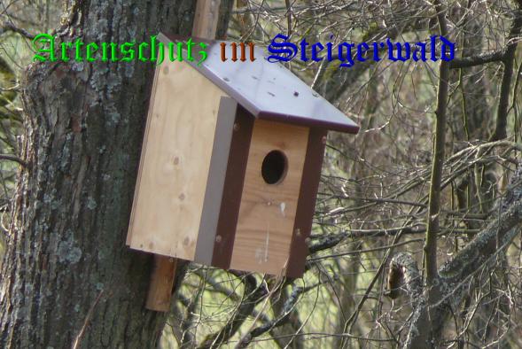 Bild zum Eintrag (36377-160)