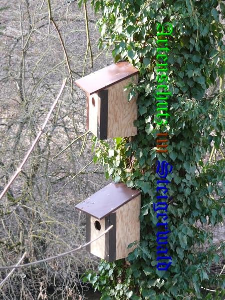 Bild zum Eintrag (36378-160)