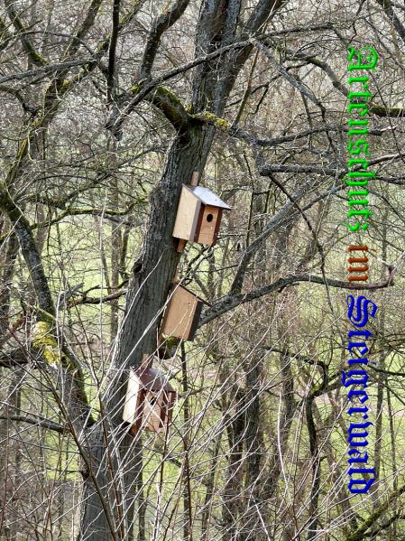 Bild zum Eintrag (36379-160)