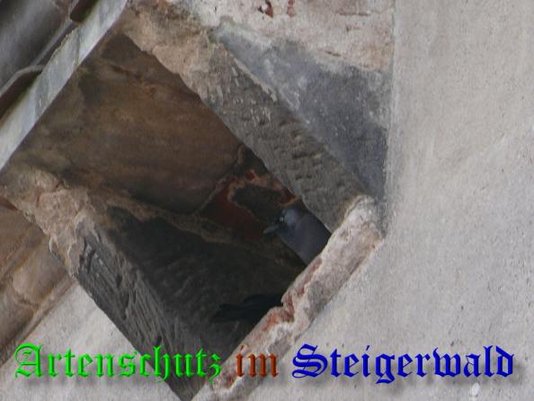 Bild zum Eintrag (36657-160)