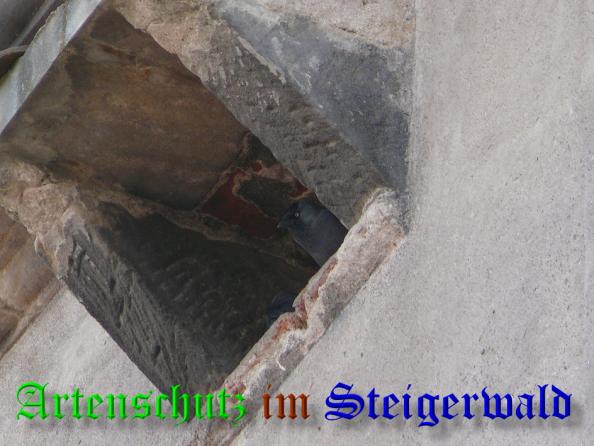 Bild zum Eintrag (36659-160)