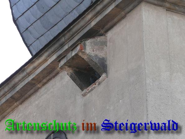 Bild zum Eintrag (36660-160)