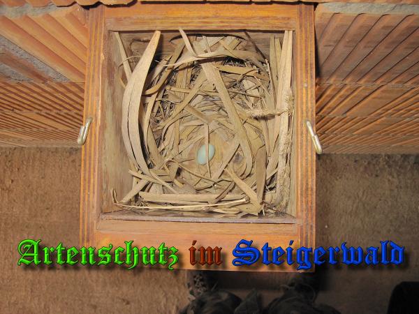 Bild zum Eintrag (36881-160)