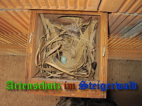 Bild zum Eintrag (36882-160)