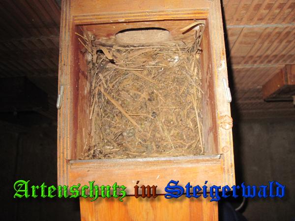 Bild zum Eintrag (36883-160)