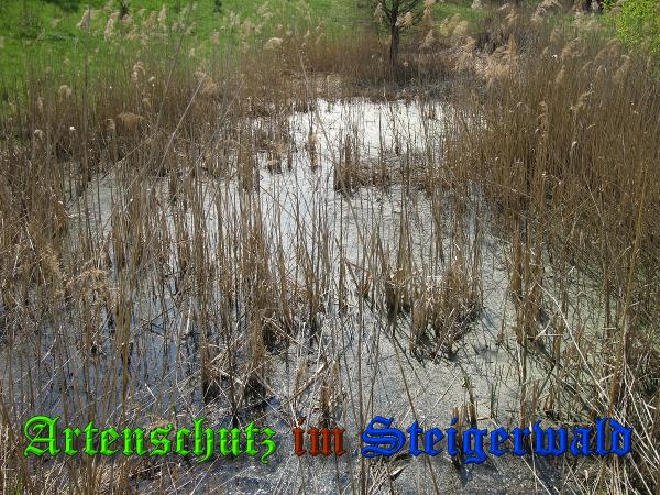 Bild zum Eintrag (36886-160)