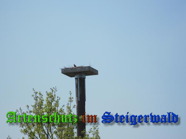 Bild zum Eintrag (36887-160)
