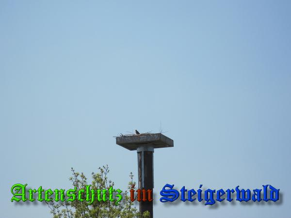 Bild zum Eintrag (36888-160)