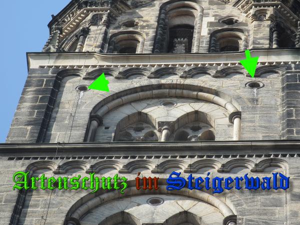Bild zum Eintrag (36897-160)