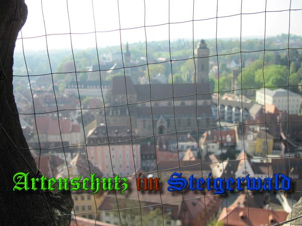 Bild zum Eintrag (36898-160)