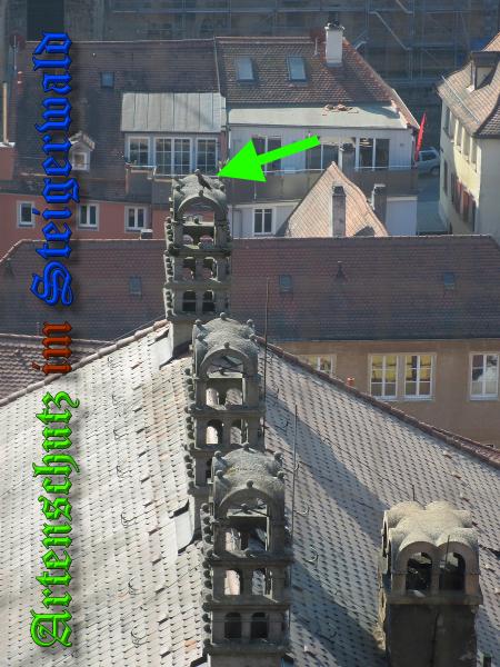 Bild zum Eintrag (36899-160)