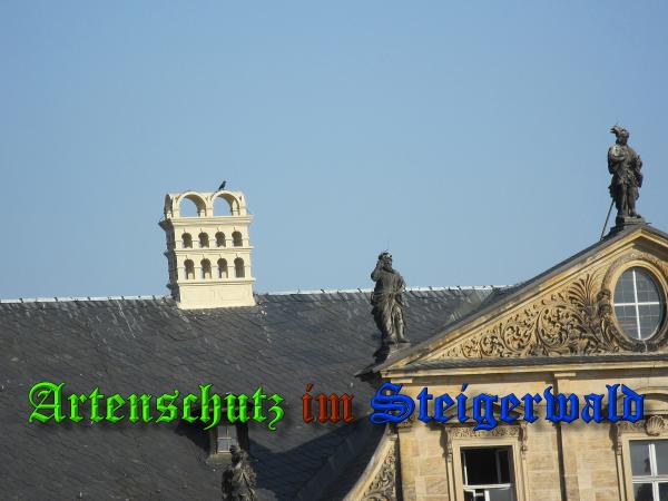 Bild zum Eintrag (36900-160)