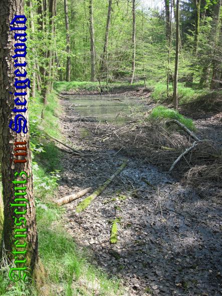 Bild zum Eintrag (37033-160)