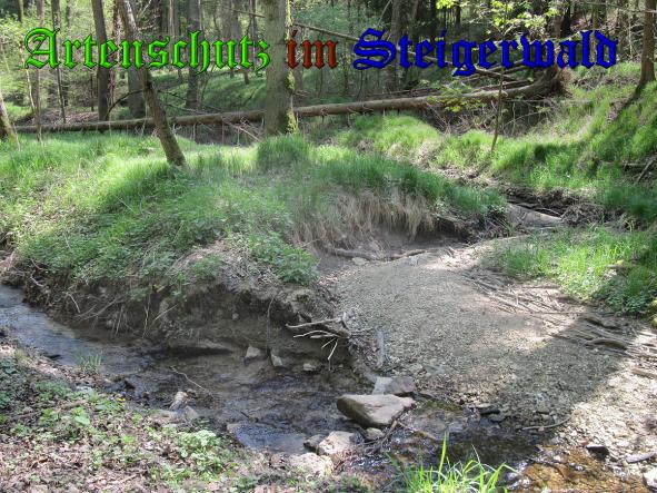 Bild zum Eintrag (37047-160)