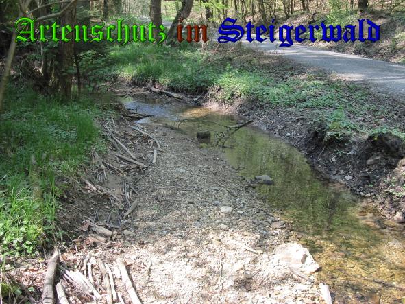 Bild zum Eintrag (37049-160)