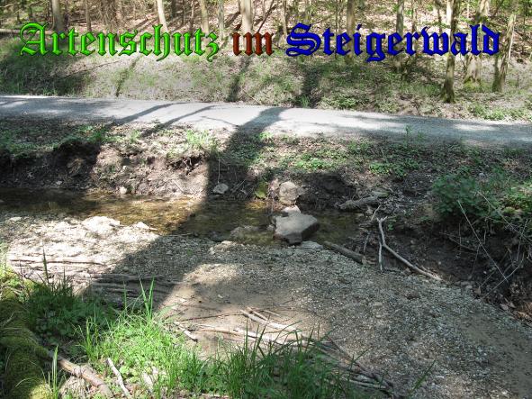 Bild zum Eintrag (37050-160)