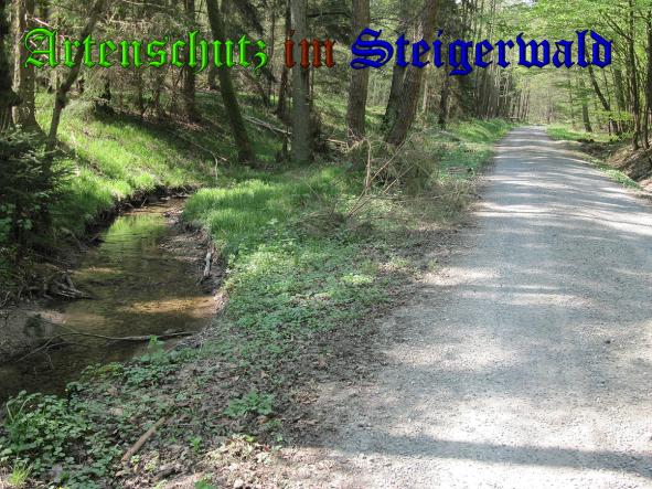 Bild zum Eintrag (37051-160)