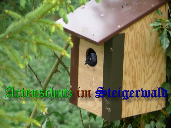 Bild zum Eintrag (37256-160)