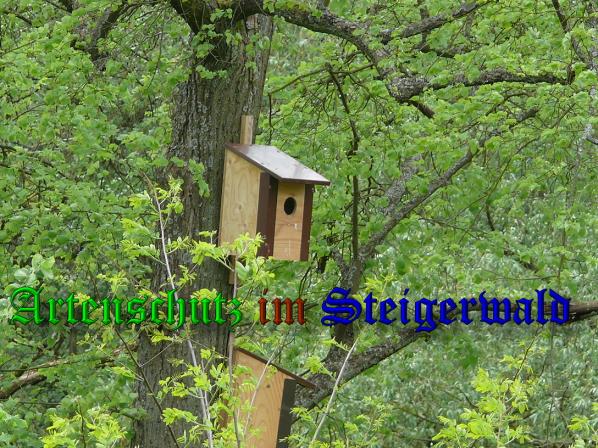 Bild zum Eintrag (37259-160)