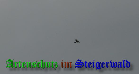 Copyright AiS - Sandner Bild zum Eintrag (37361-160)