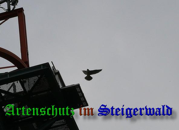 Copyright AiS - Sandner Bild zum Eintrag (37362-160)