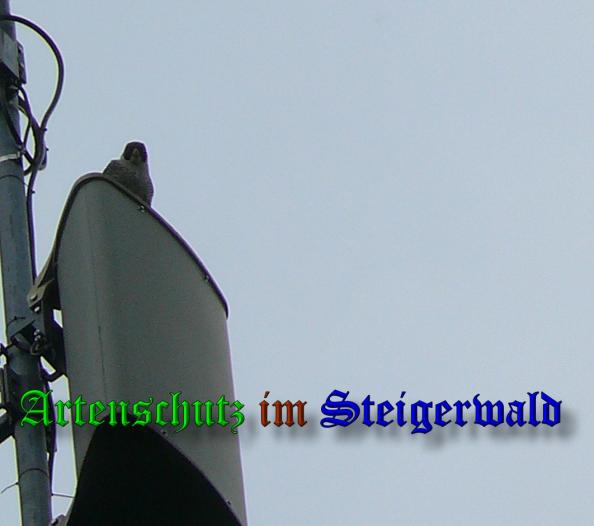 Copyright AiS - Sandner Bild zum Eintrag (37363-160)