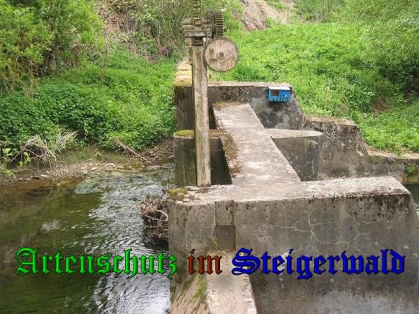 Copyright AiS - Zuerl Bild zum Eintrag (37426-160)