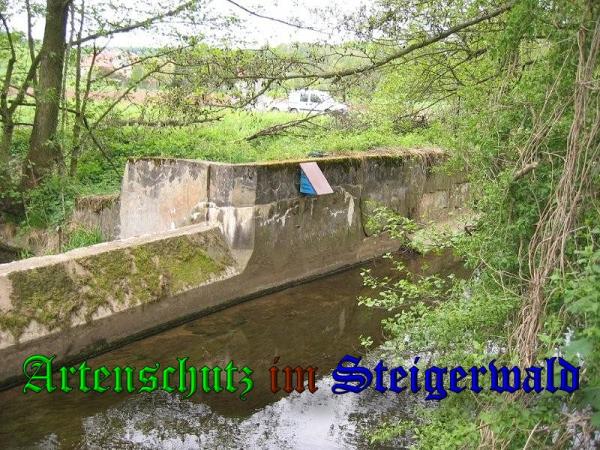 Bild zum Eintrag (37433-160)