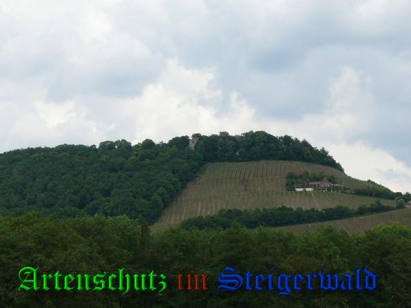 Bild zum Eintrag (37835-160)