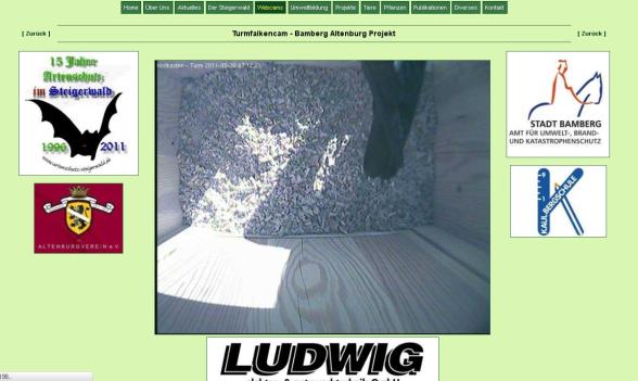 Bild zum Eintrag (38055-160)