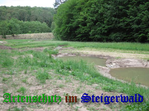 Bild zum Eintrag (38145-160)