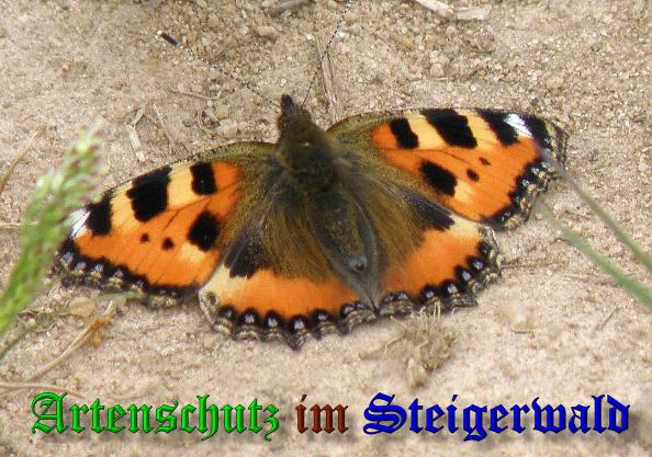 Copyright AiS- Albert Meier Bild zum Eintrag (38153-160)