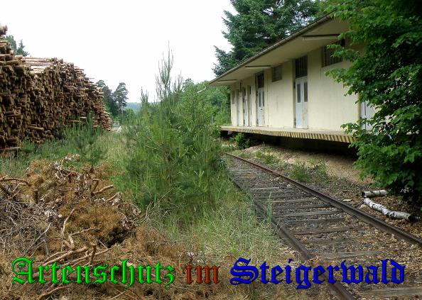 Copyright AiS- Albert Meier Bild zum Eintrag (38169-160)