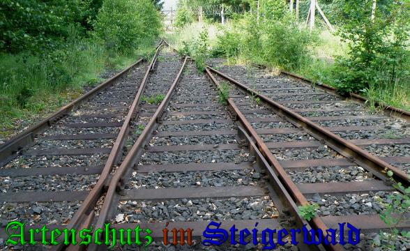 Copyright AiS- Albert Meier Bild zum Eintrag (38170-160)