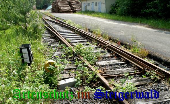 Copyright AiS- Albert Meier Bild zum Eintrag (38171-160)