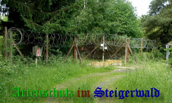 Copyright AiS- Albert Meier Bild zum Eintrag (38175-160)