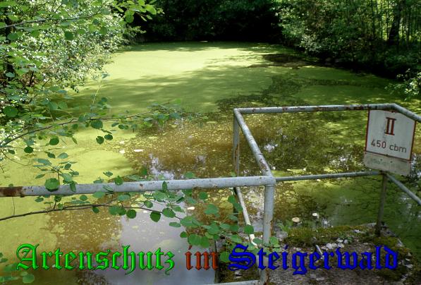 Copyright AiS- Albert Meier Bild zum Eintrag (38176-160)