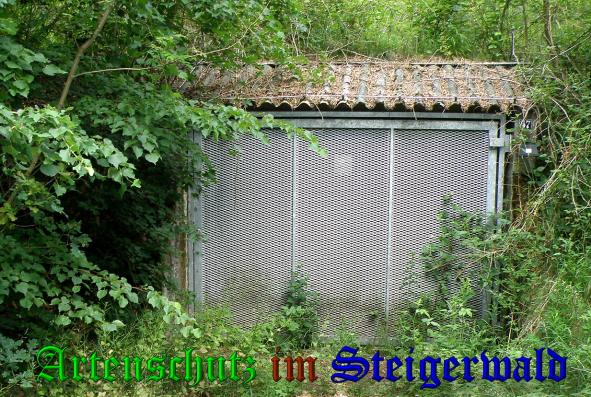 Copyright AiS- Albert Meier Bild zum Eintrag (38177-160)
