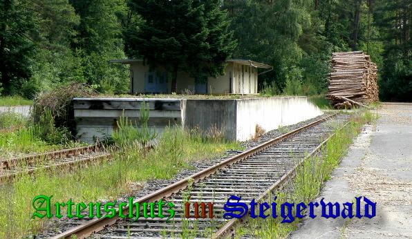 Copyright AiS- Albert Meier Bild zum Eintrag (38178-160)