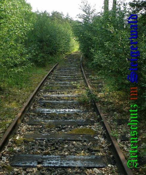 Copyright AiS- Albert Meier Bild zum Eintrag (38179-160)