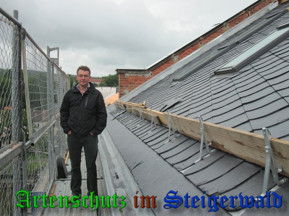 Bild zum Eintrag (38293-160)