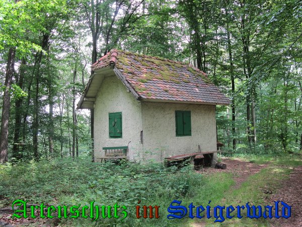 Bild zum Eintrag (38375-160)
