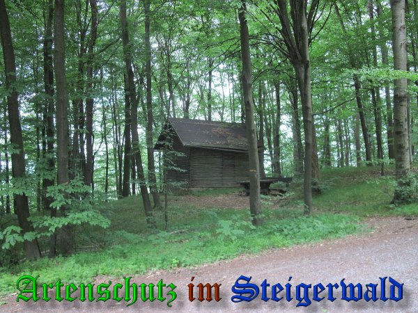 Bild zum Eintrag (38376-160)
