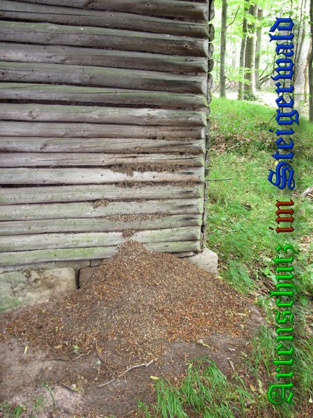 Bild zum Eintrag (38378-160)
