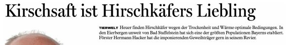 Copyright AiS - FT - Michael Einwag Bild zum Eintrag (38390-160)